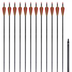 Стандартни стрели за лък 0,76 см карбонови 12 бр.
