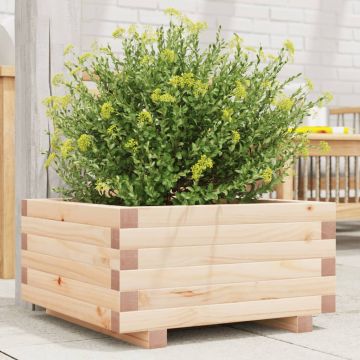 Градинска кашпа 50x50x26,5 см масивна борова дървесина