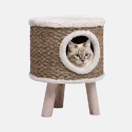 Къща за котки